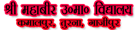 SRI MAHAVEER UMV VIDYALAYA